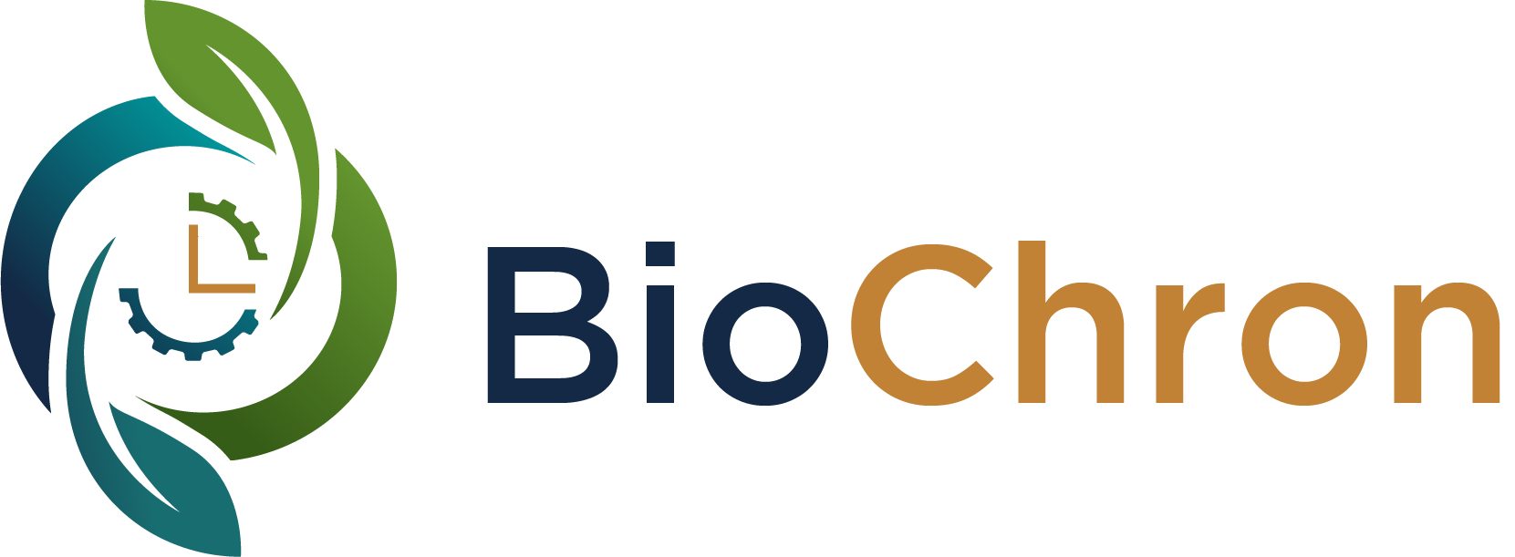 Biochron Logo